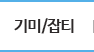 기미/잡티