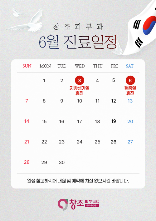 진료일정
